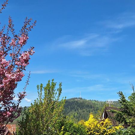Apartament Na Brzyzku Zakopane Buitenkant foto