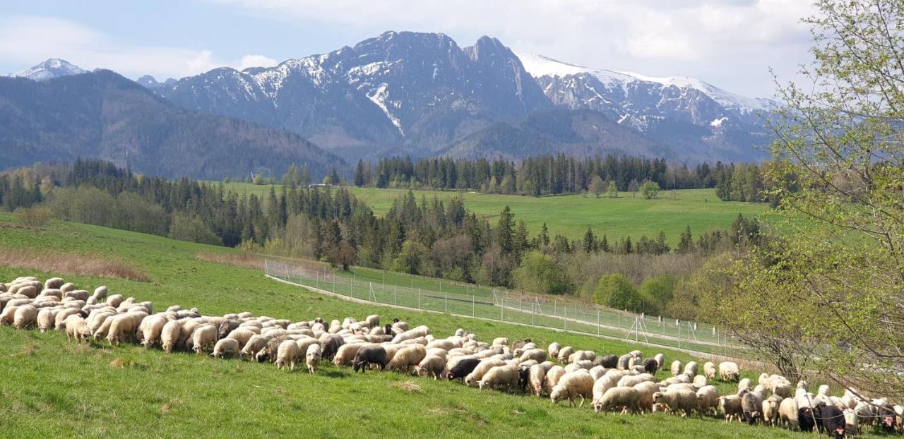 Apartament Na Brzyzku Zakopane Buitenkant foto
