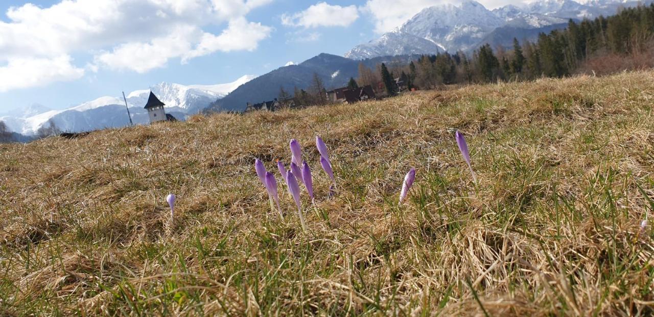 Apartament Na Brzyzku Zakopane Buitenkant foto
