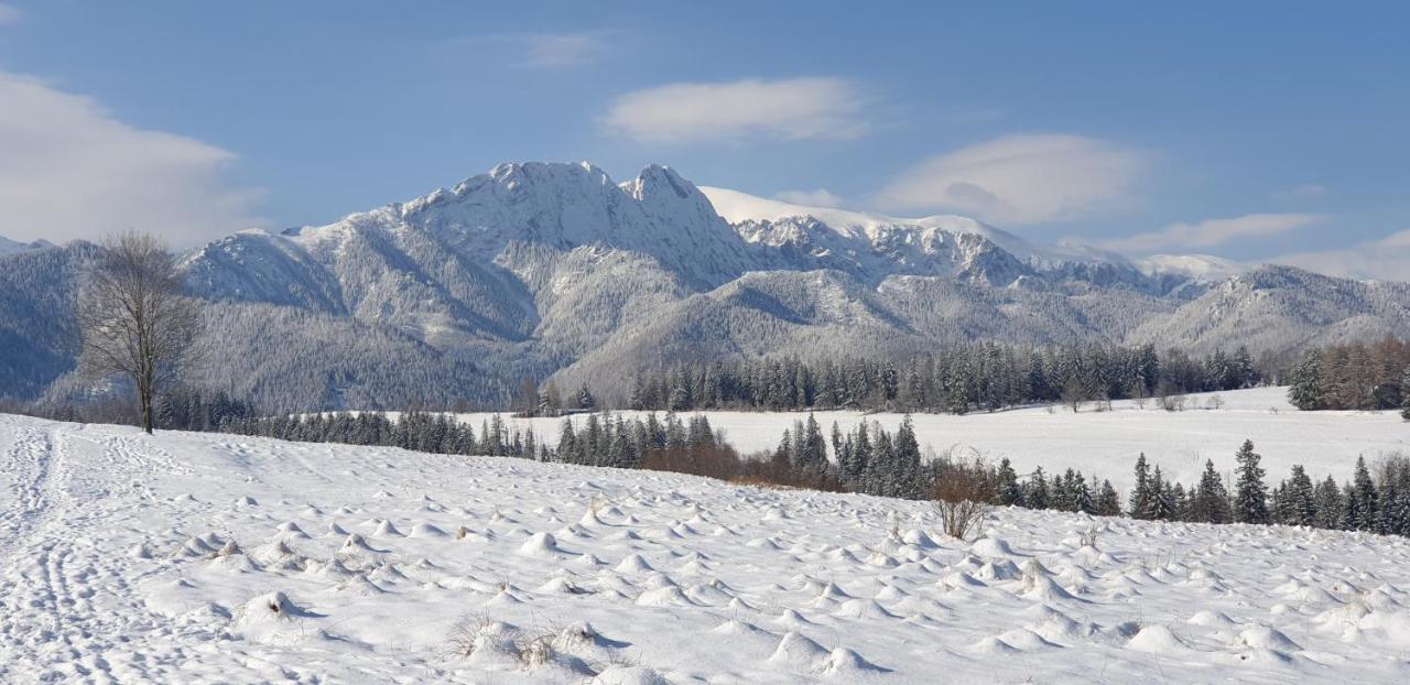 Apartament Na Brzyzku Zakopane Buitenkant foto