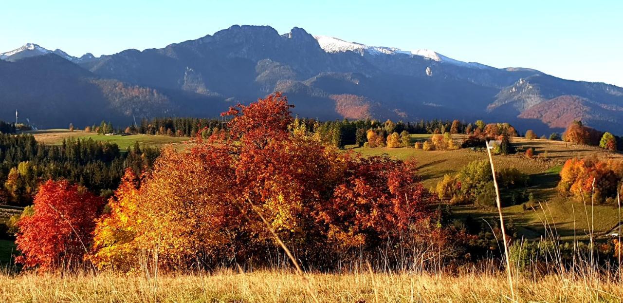 Apartament Na Brzyzku Zakopane Buitenkant foto