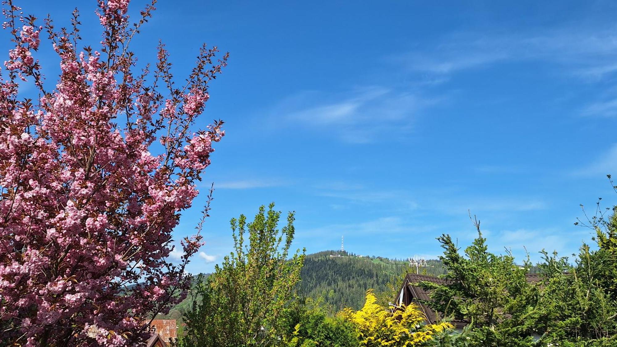 Apartament Na Brzyzku Zakopane Buitenkant foto